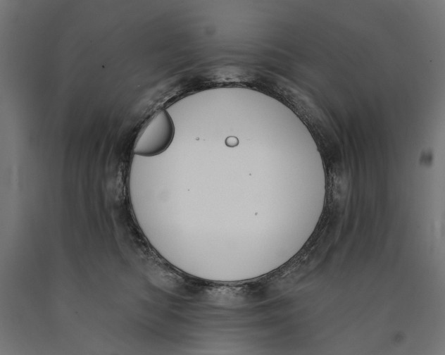 X0000090420422200708031110