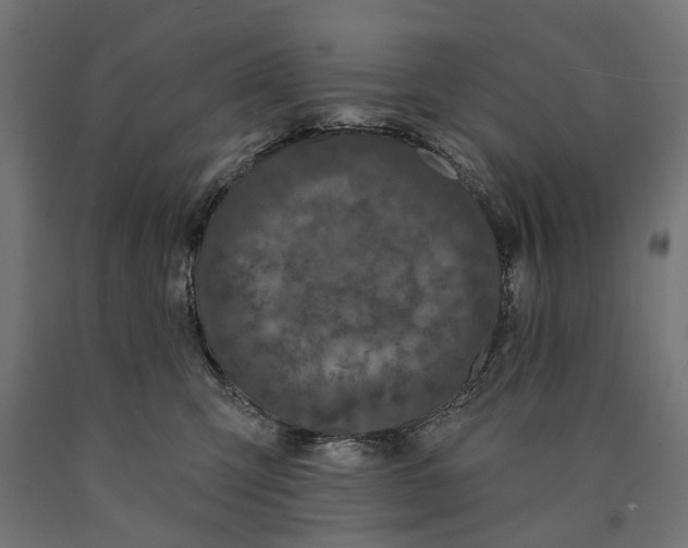 X0000090420423200708031110