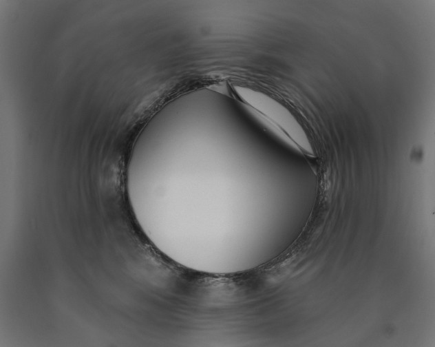 X0000090420424200708031110