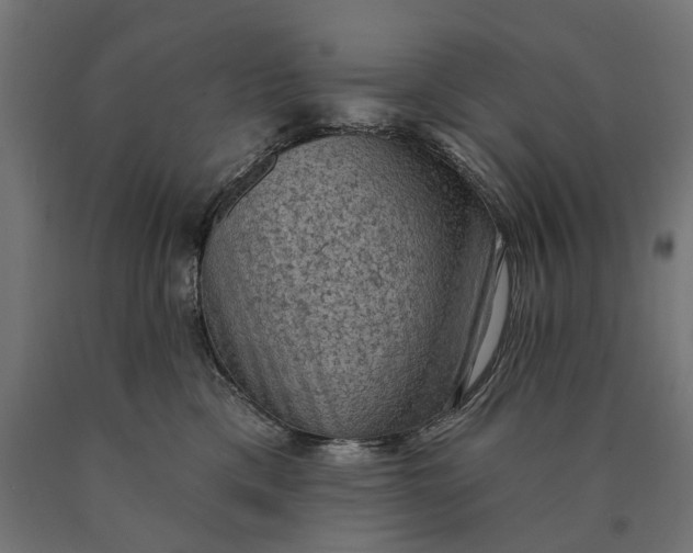 X0000090420425200708031110