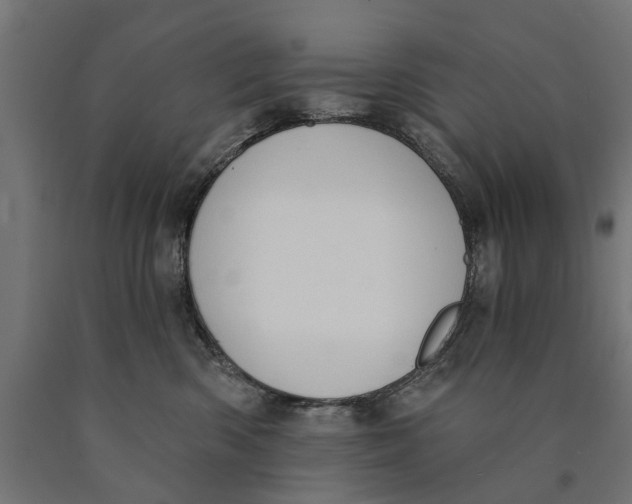 X0000090420426200708031110