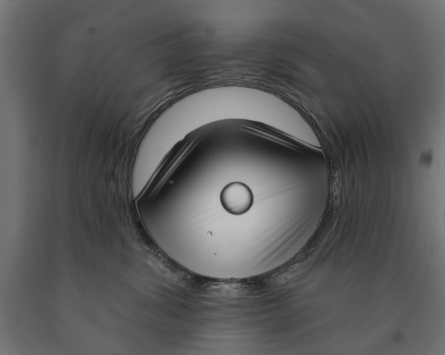 X0000090420428200708031110