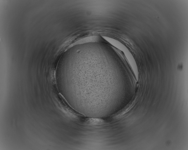 X0000090420429200708031110