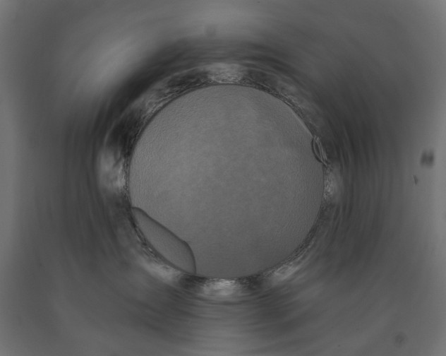 X0000090420431200708031110