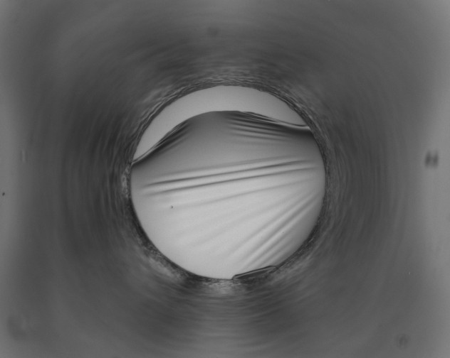 X0000090420432200708031110