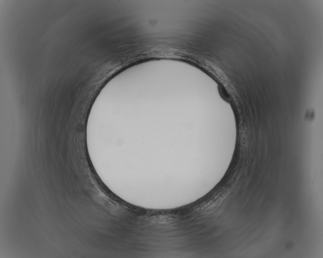 X0000090420433200708031109