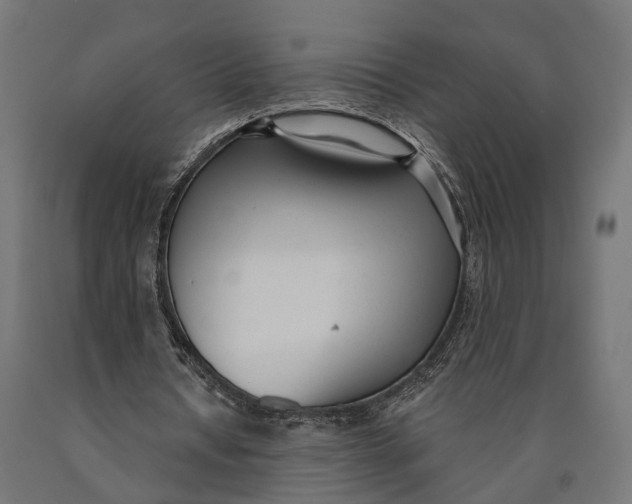 X0000090420434200708031109