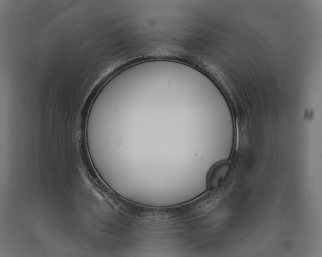 X0000090420435200708031109