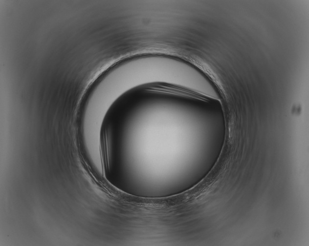 X0000090420436200708031109