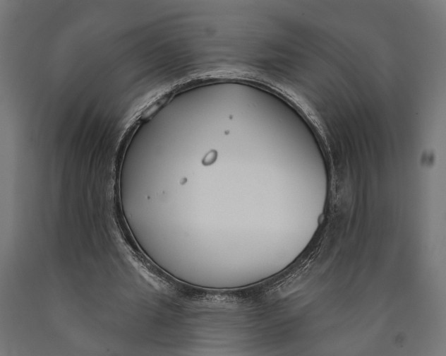 X0000090420437200708031110