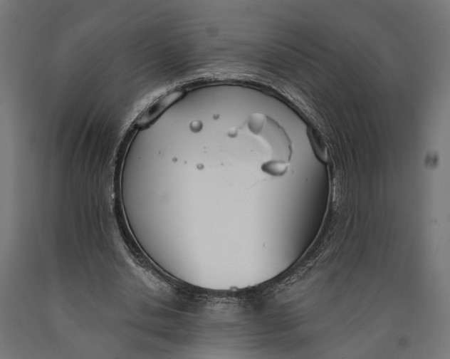 X0000090420438200708031110