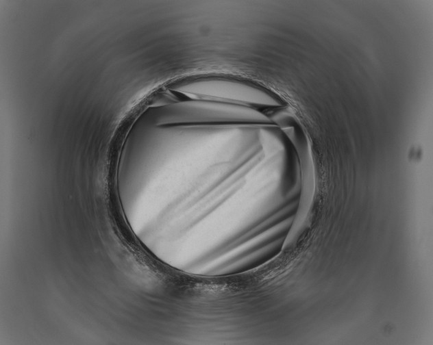 X0000090420440200708031110