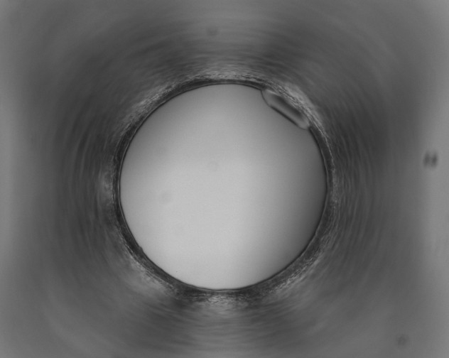 X0000090420441200708031110