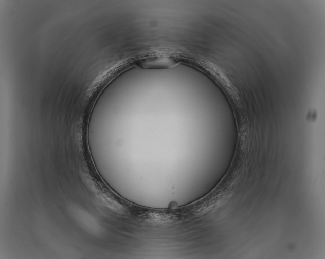 X0000090420442200708031110