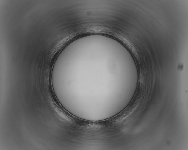 X0000090420445200708031110