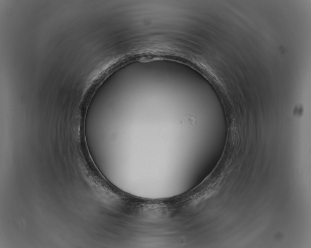 X0000090420446200708031110