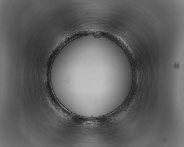 X0000090420447200708031110