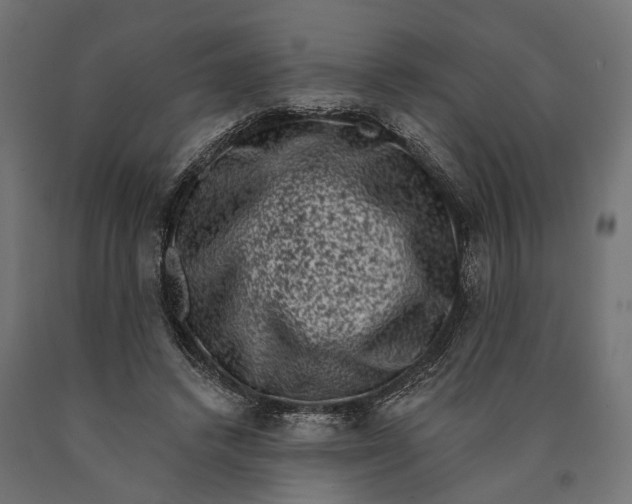 X0000090420448200708031110