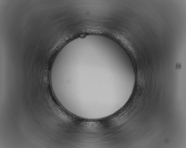 X0000090420449200708031110