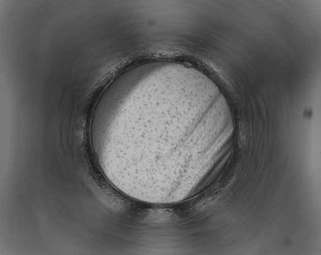 X0000090420451200708031110