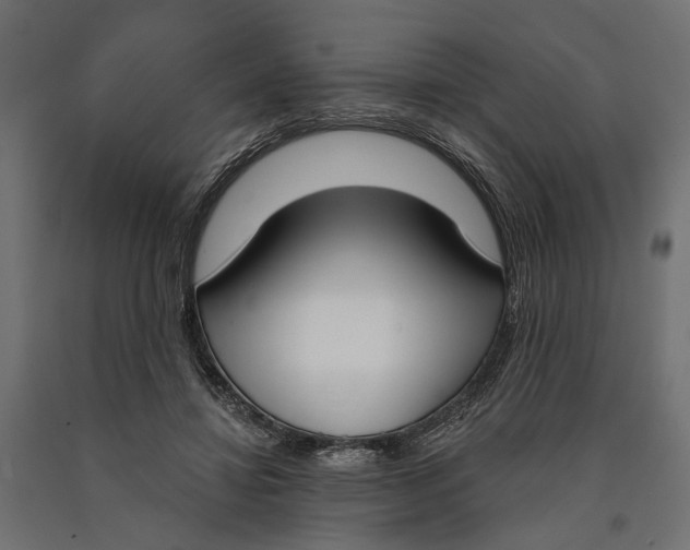 X0000090420452200708031110