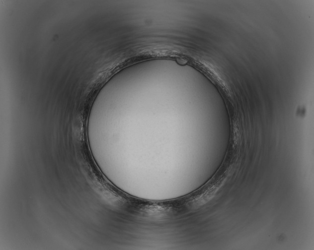 X0000090420453200708031110