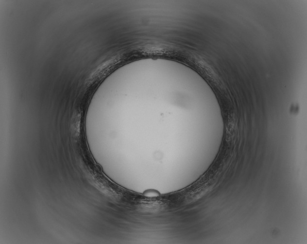 X0000090420454200708031110