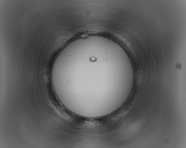 X0000090420455200708031110