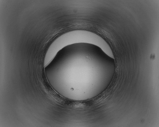 X0000090420456200708031110