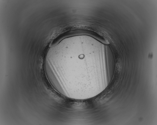 X0000090420458200708031110