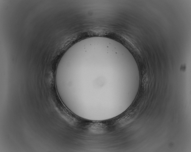 X0000090420459200708031110