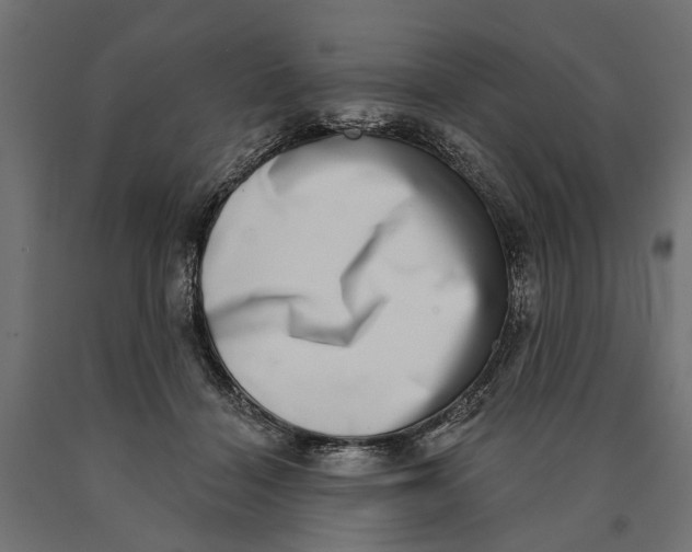 X0000090420460200708031110