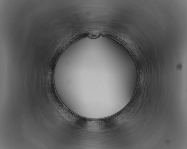 X0000090420461200708031110