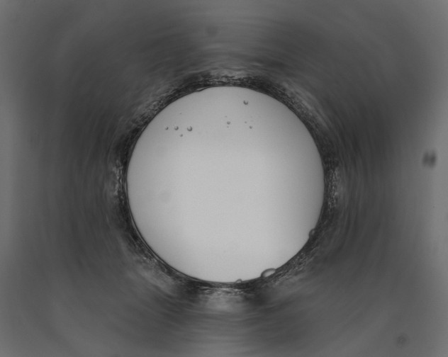 X0000090420463200708031110