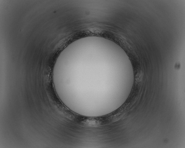 X0000090420464200708031110