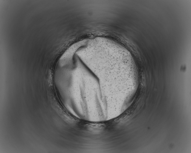 X0000090420465200708031110