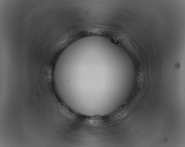 X0000090420466200708031110