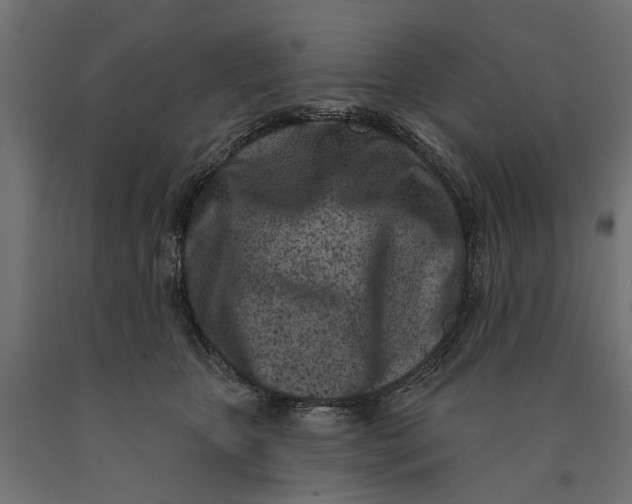 X0000090420467200708031110