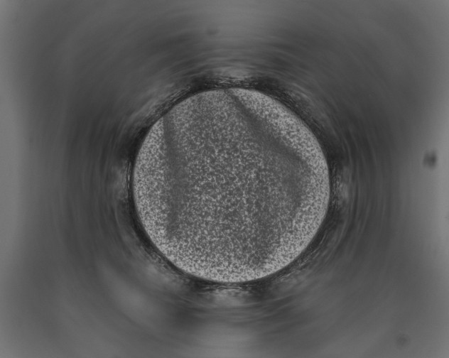 X0000090420468200708031110