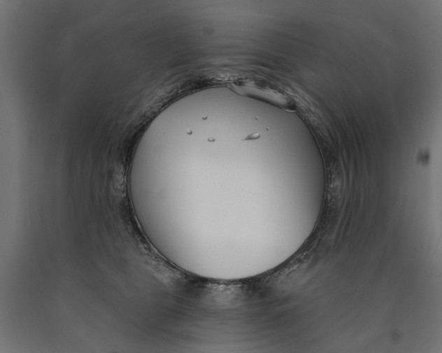 X0000090420469200708031110