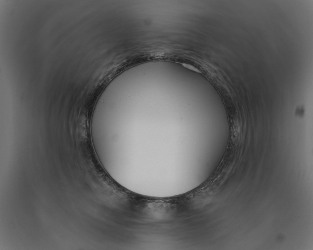 X0000090420470200708031110