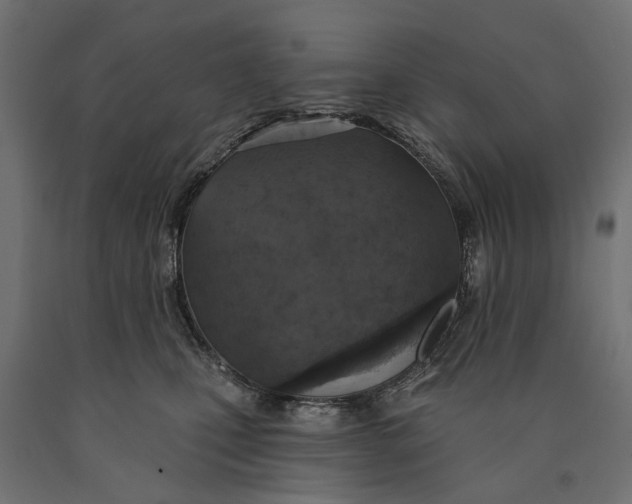 X0000090420471200708031110