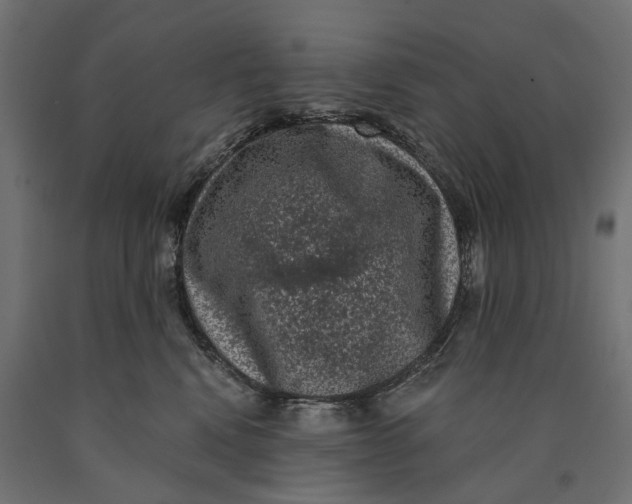 X0000090420472200708031110