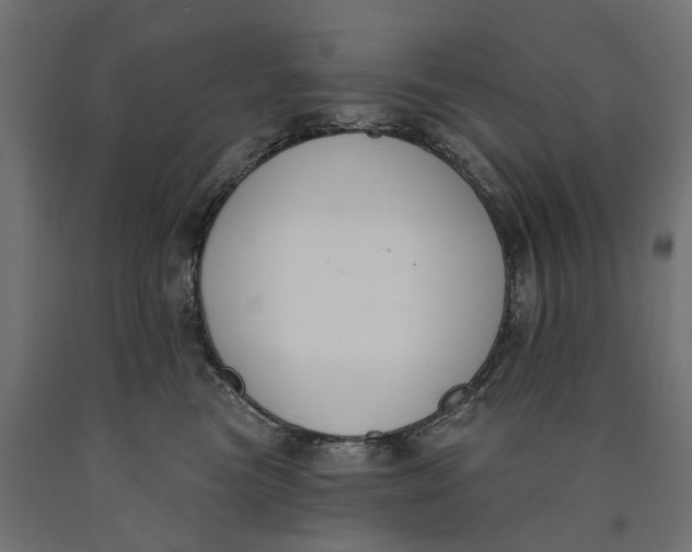 X0000090420473200708031110