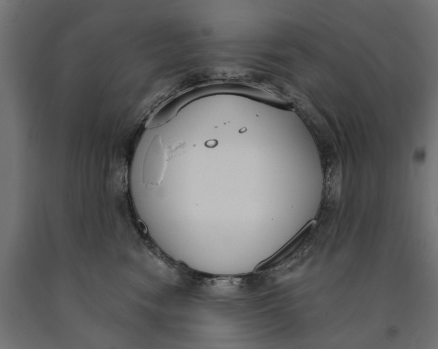 X0000090420474200708031110