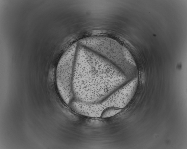 X0000090420475200708031110