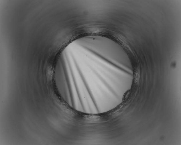 X0000090420476200708031110