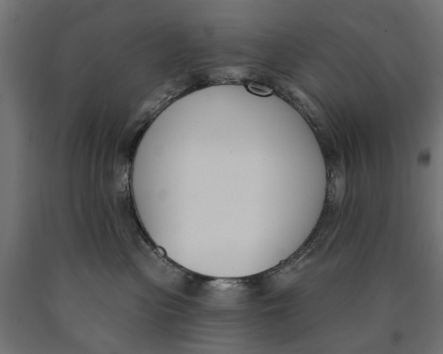 X0000090420477200708031110