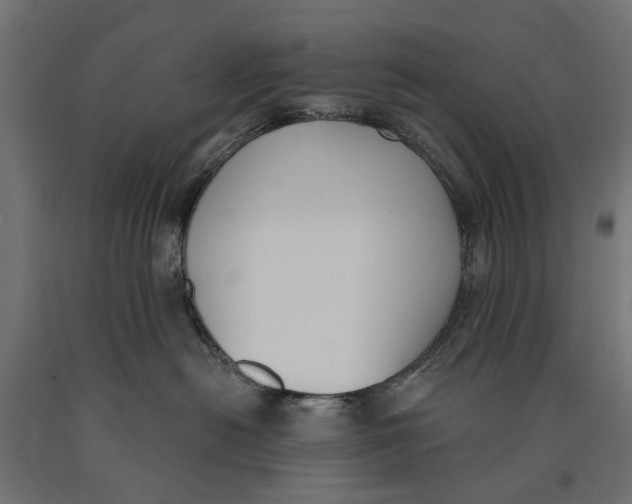 X0000090420478200708031110