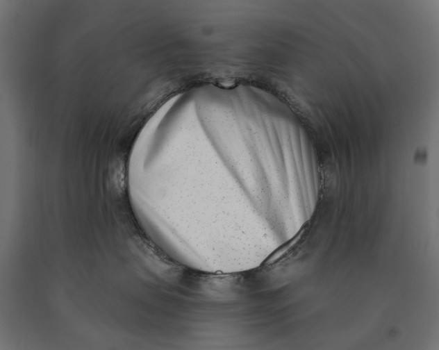 X0000090420479200708031110